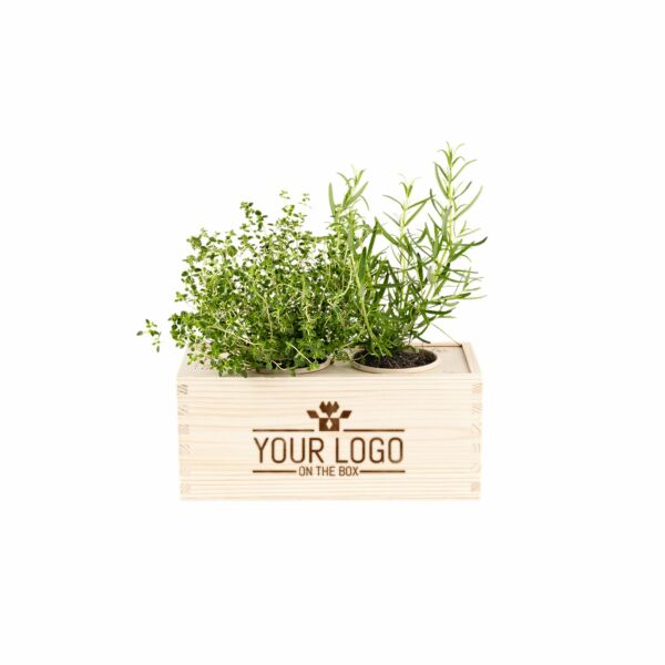 Planten box - Medium